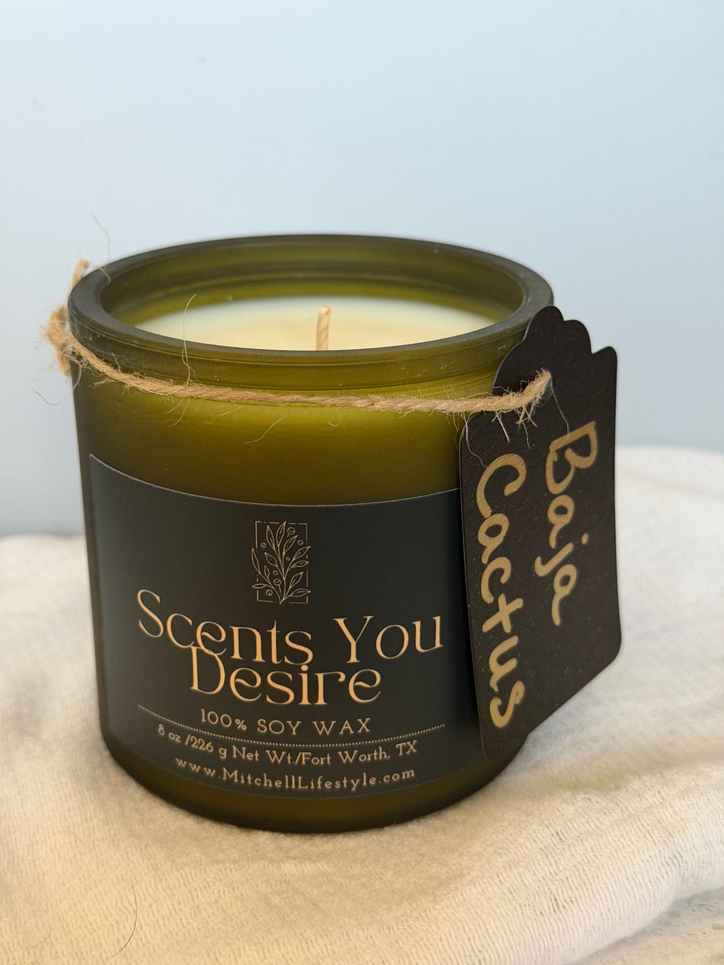 Baja Cactus luxury candle by scents You Desire styled in a modern living space