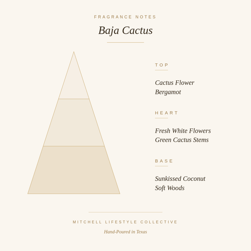 Baja Cactus Luxury Soy Candle | 8 oz | Scents You Desire