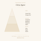 Citrus Agave Reed Diffuser | 4 oz | Scents You Desire