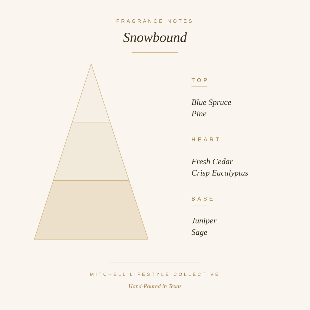 Snowbound Soy Candle | Evergreen & Amber